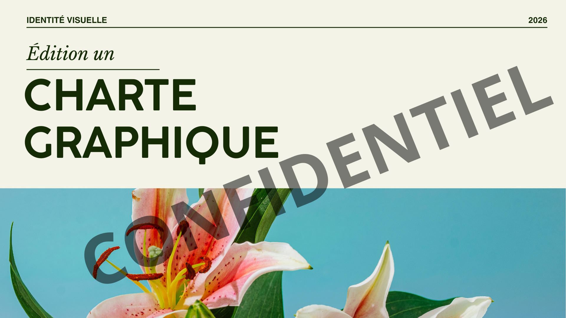 Création normes graphique